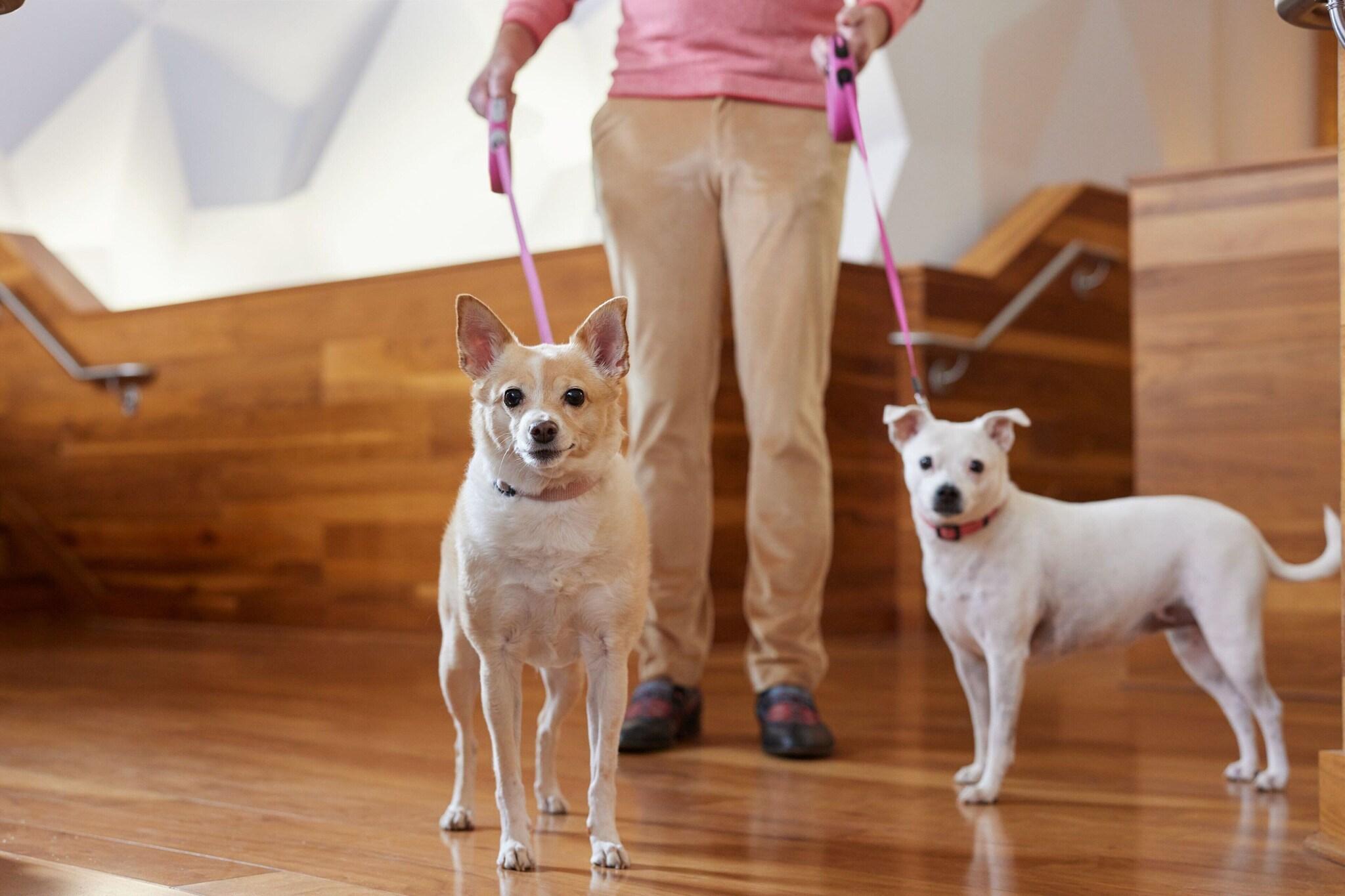 Stay in style at Sheraton Grand Nashville Downtown