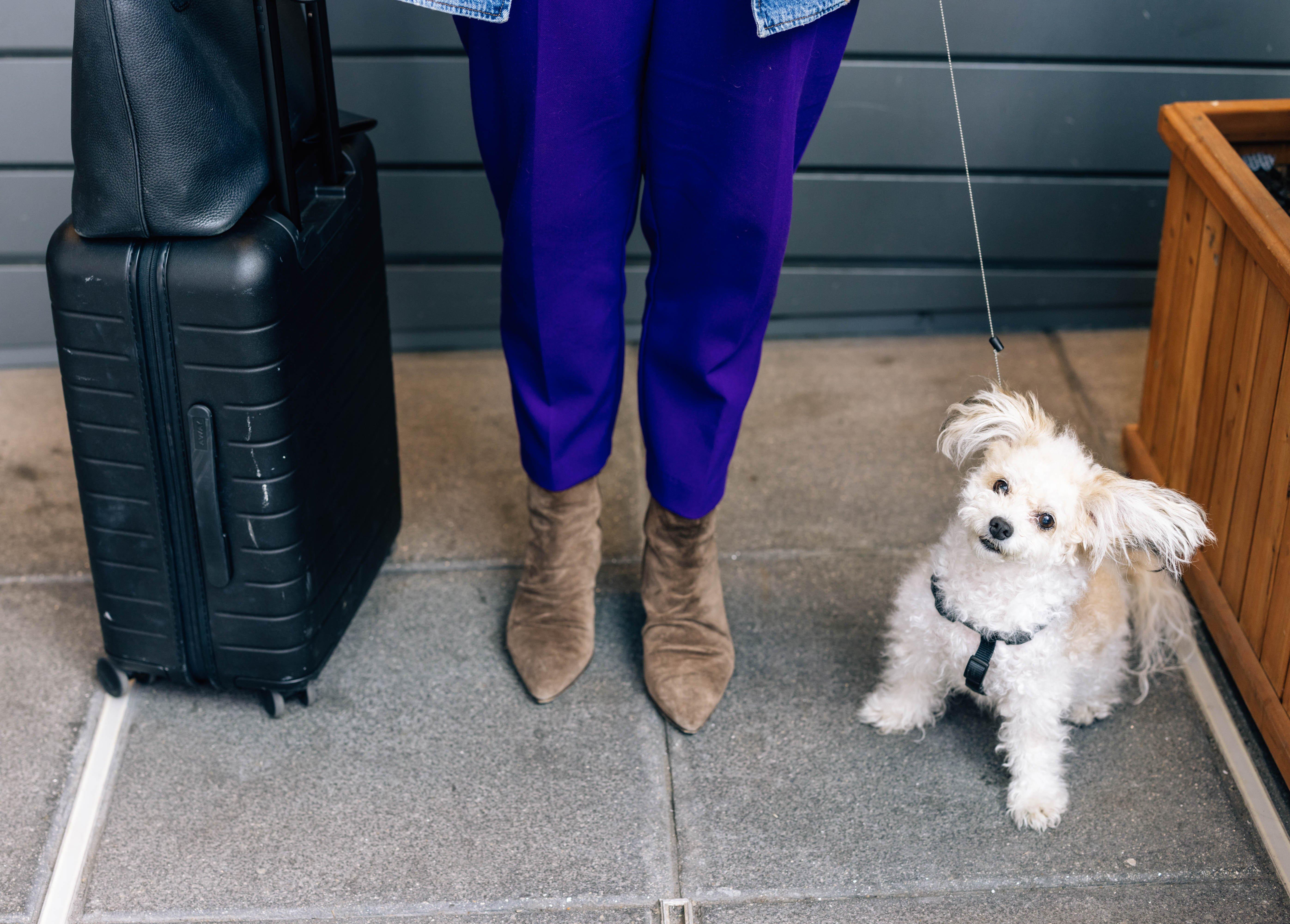 Stay in style at EVEN Hotel New York - Midtown East