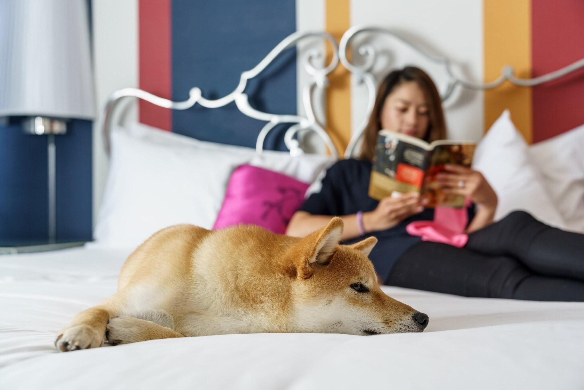 Stay in style at The Marker Union Square San Francisco