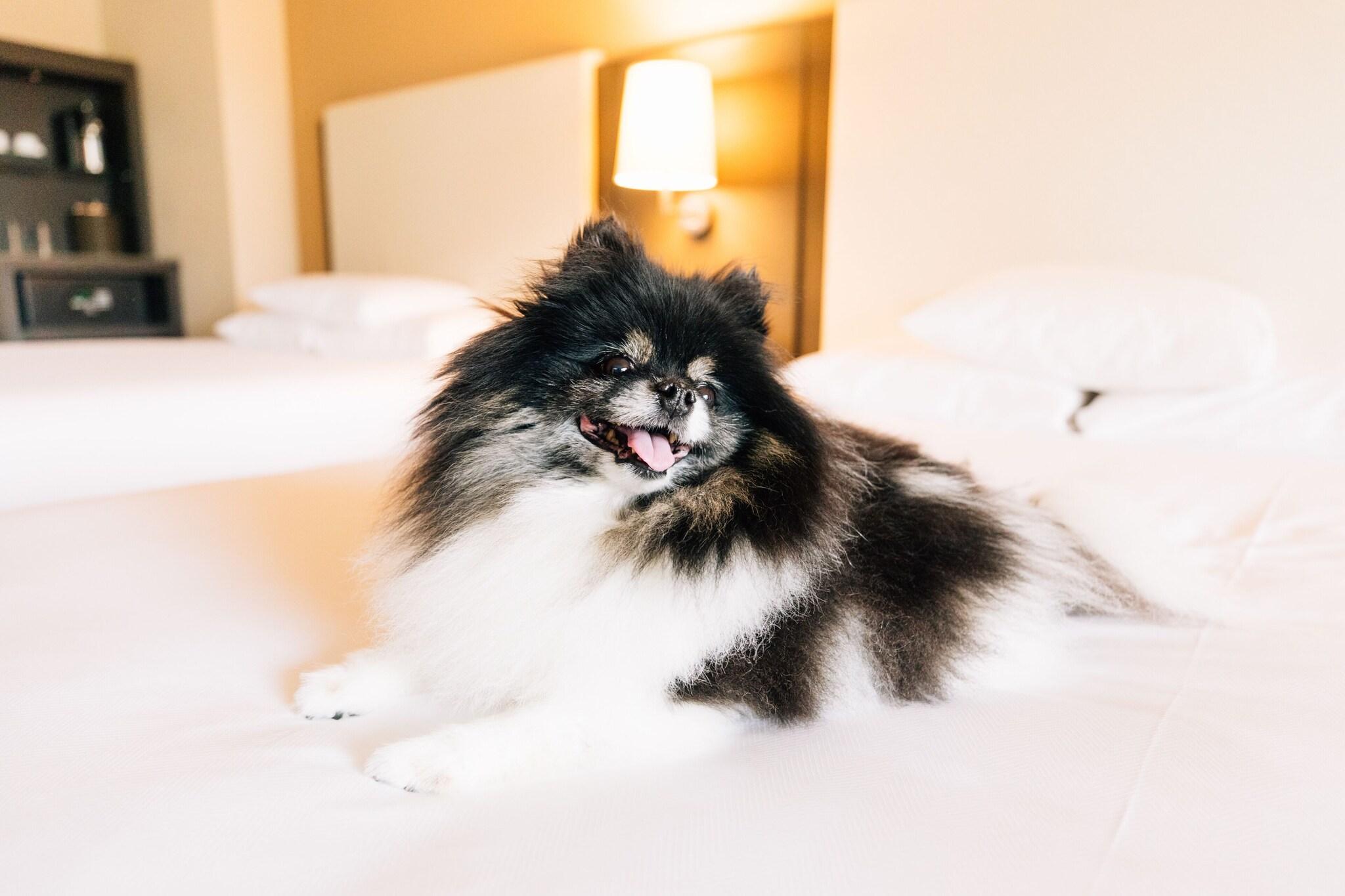 Stay in style at Hyatt at Olive 8