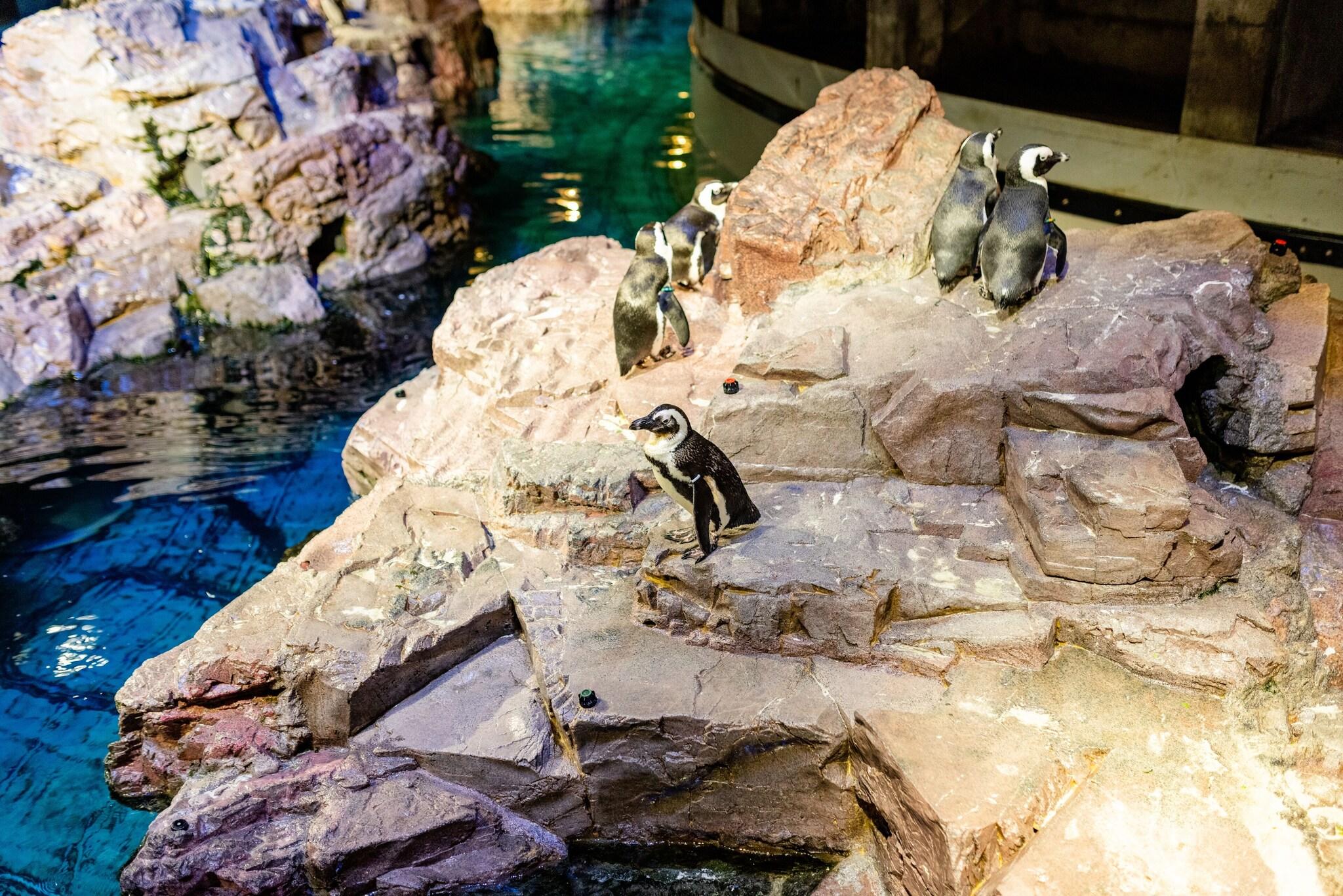 Stay in style at The Westin Boston Seaport District