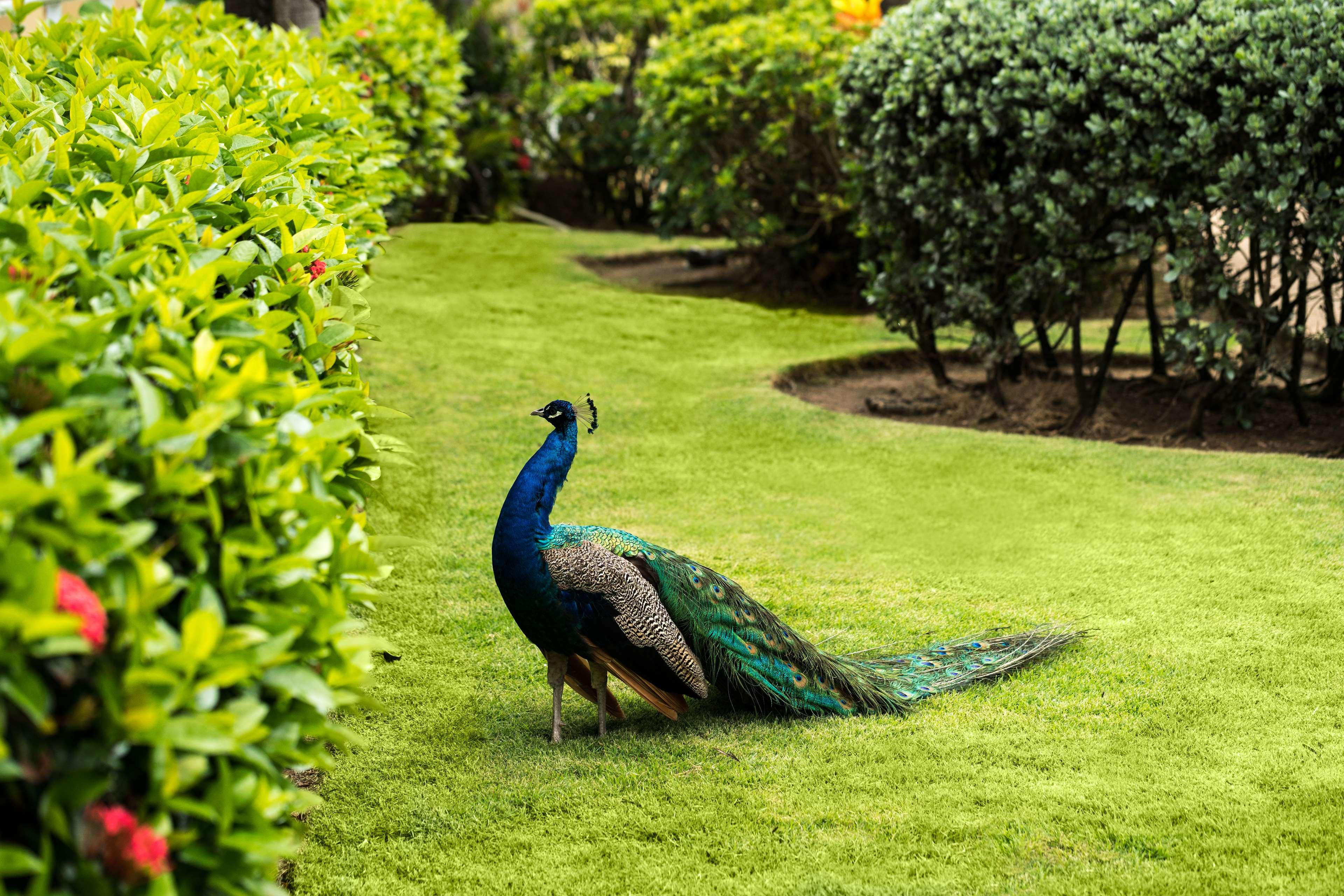 Stay in style at Caribe Hilton