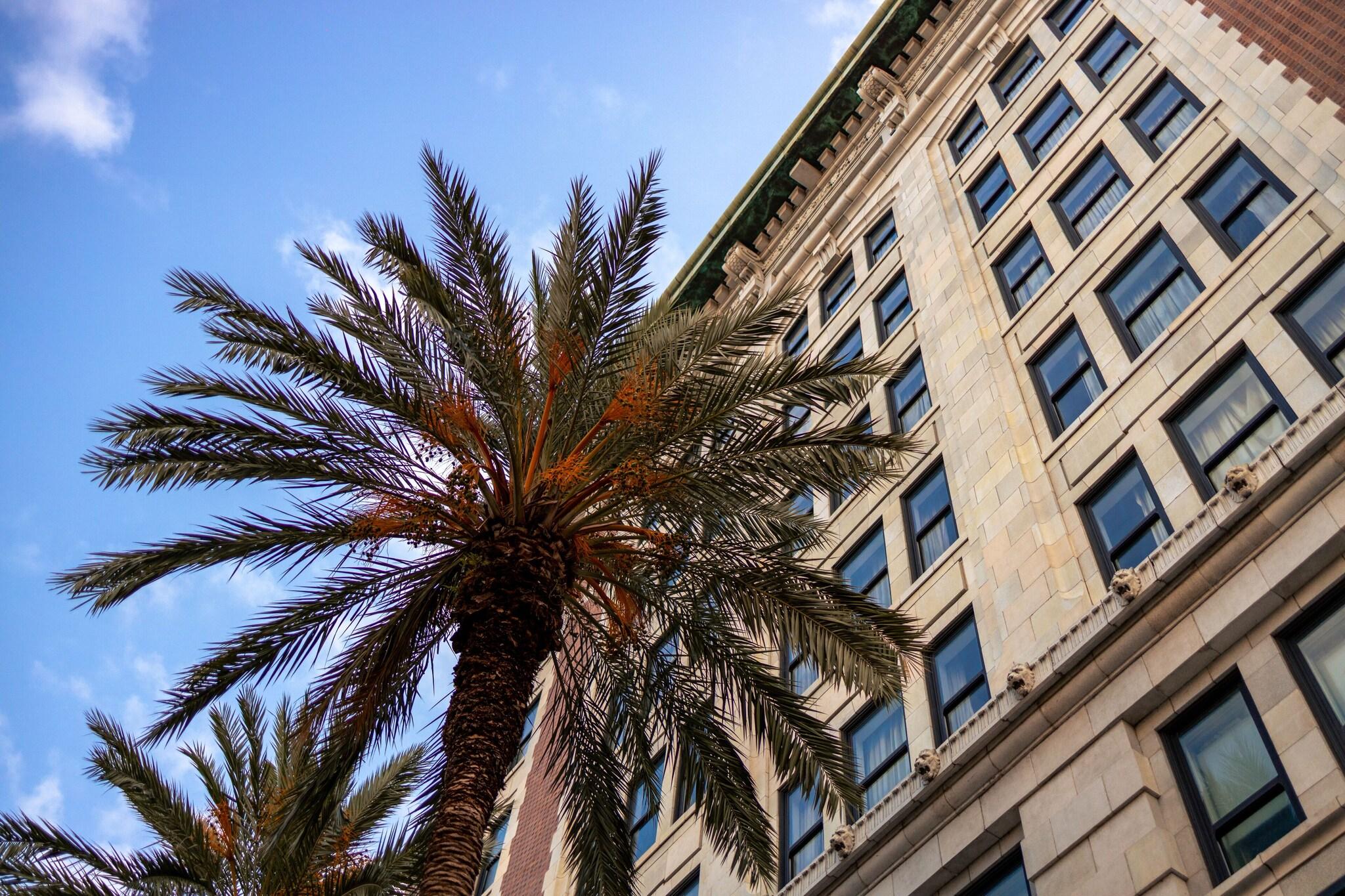 Stay in style at The Saint Hotel, Autograph Collection