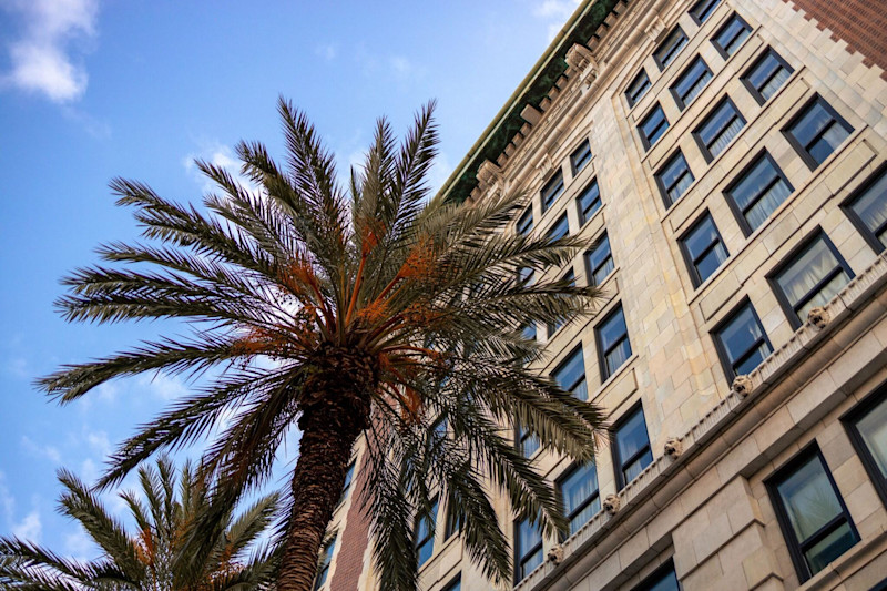 Stay in style at The Saint Hotel, Autograph Collection