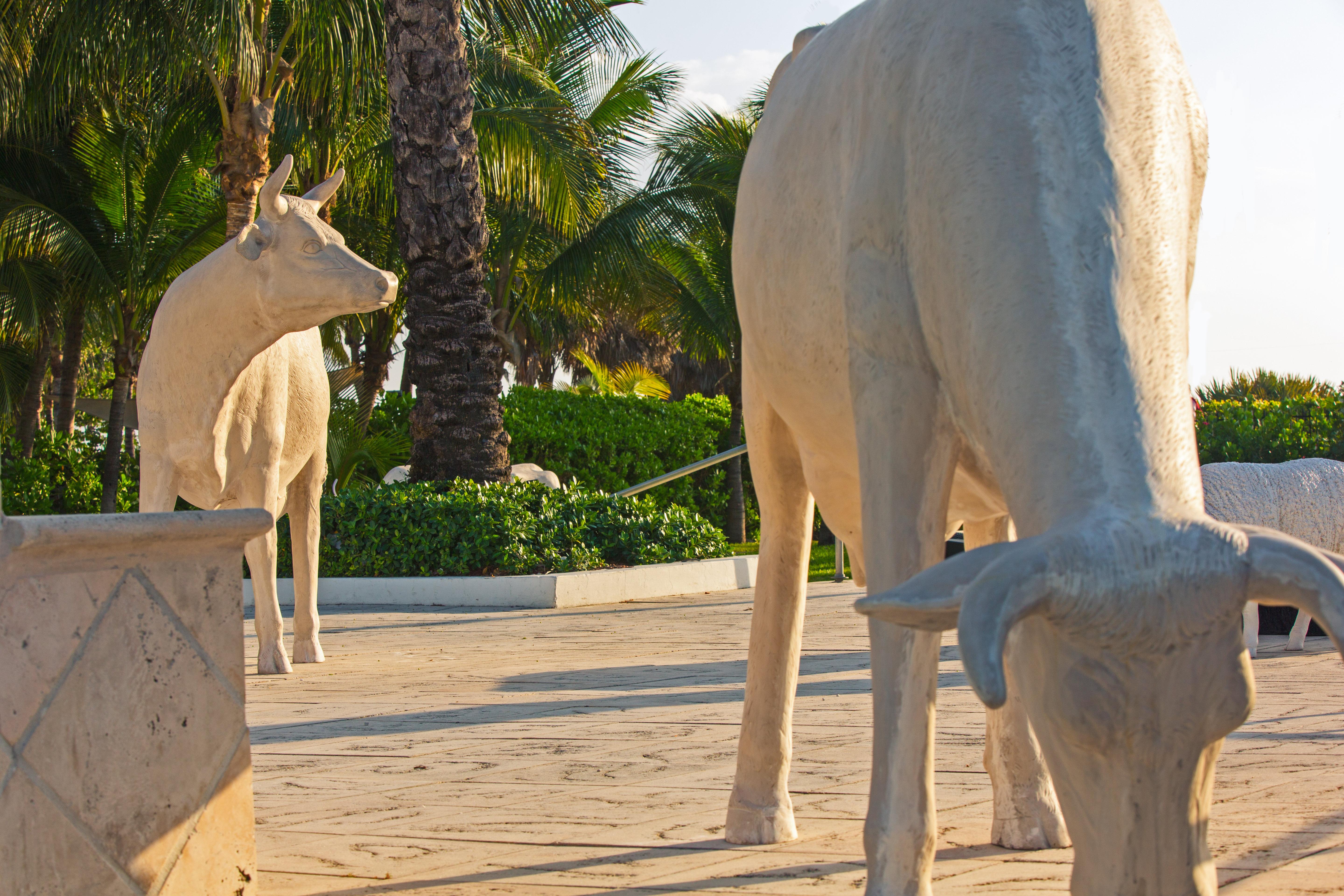 Stay in style at Kimpton Surfcomber Hotel