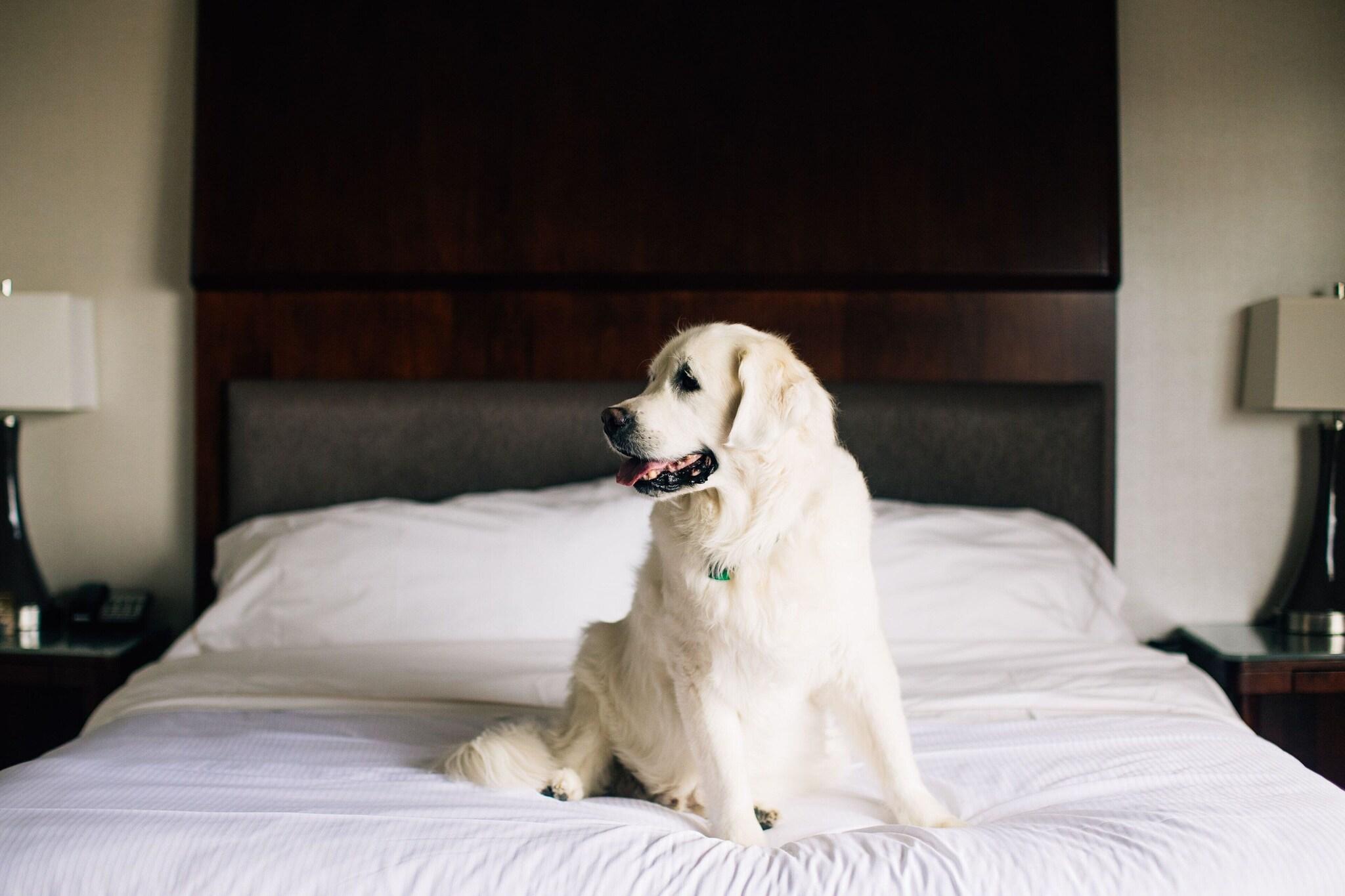 Stay in style at The Westin Seattle