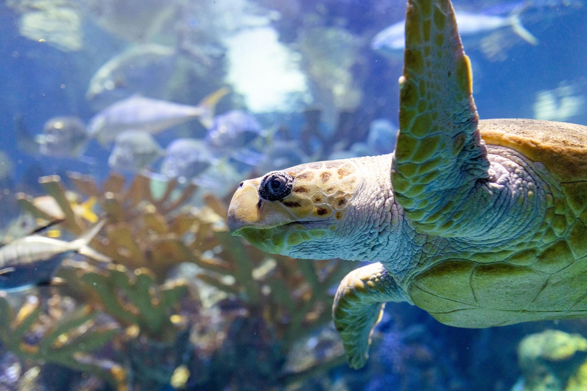 Stay in style at The Westin Boston Seaport District