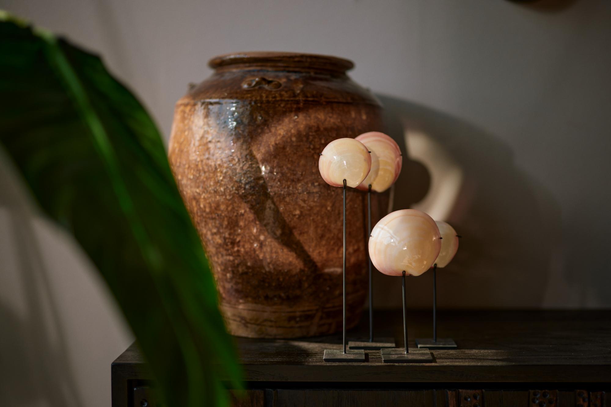 wokole-pink-shell-on-stand2