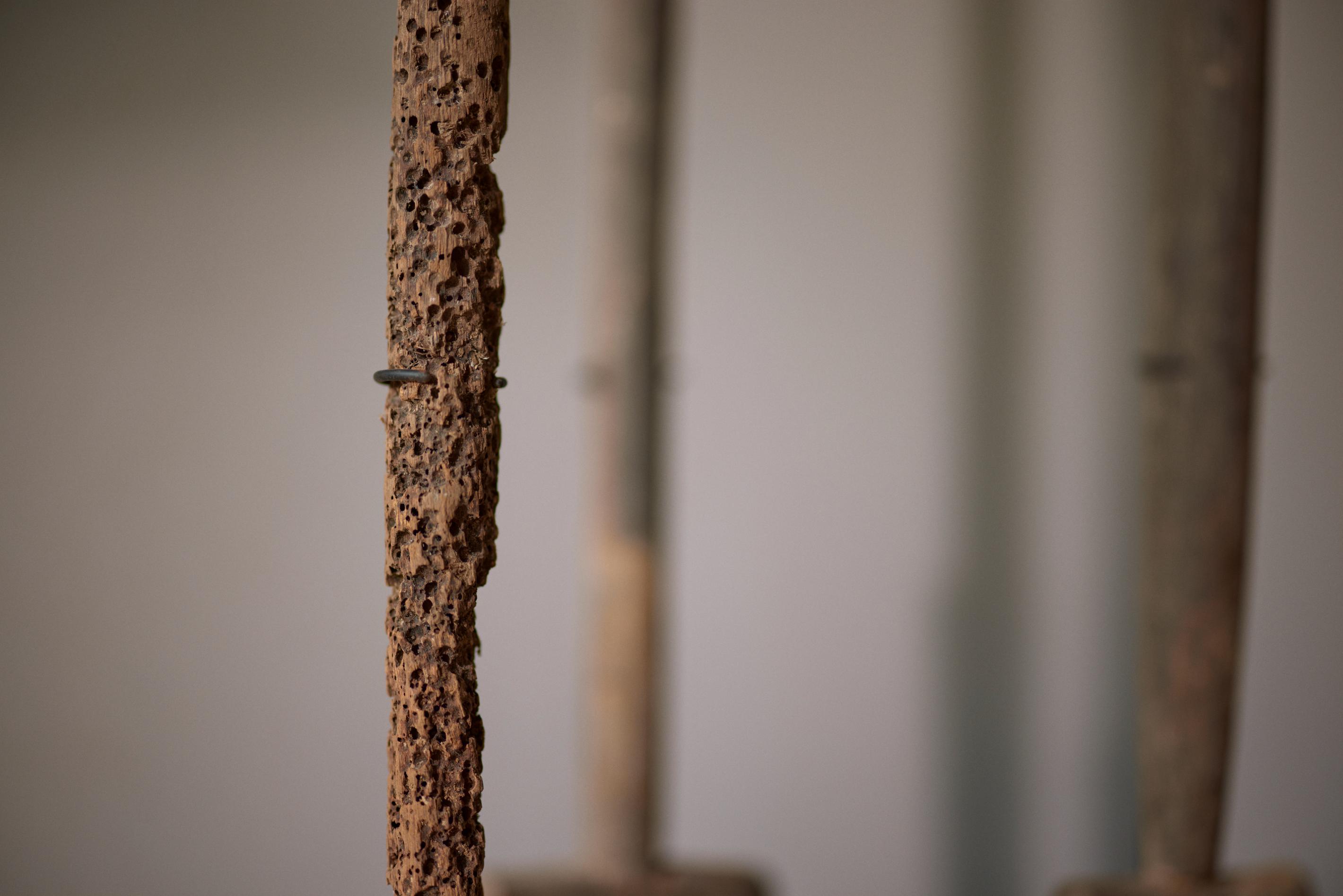 sotek-paddles-borneo-stand4