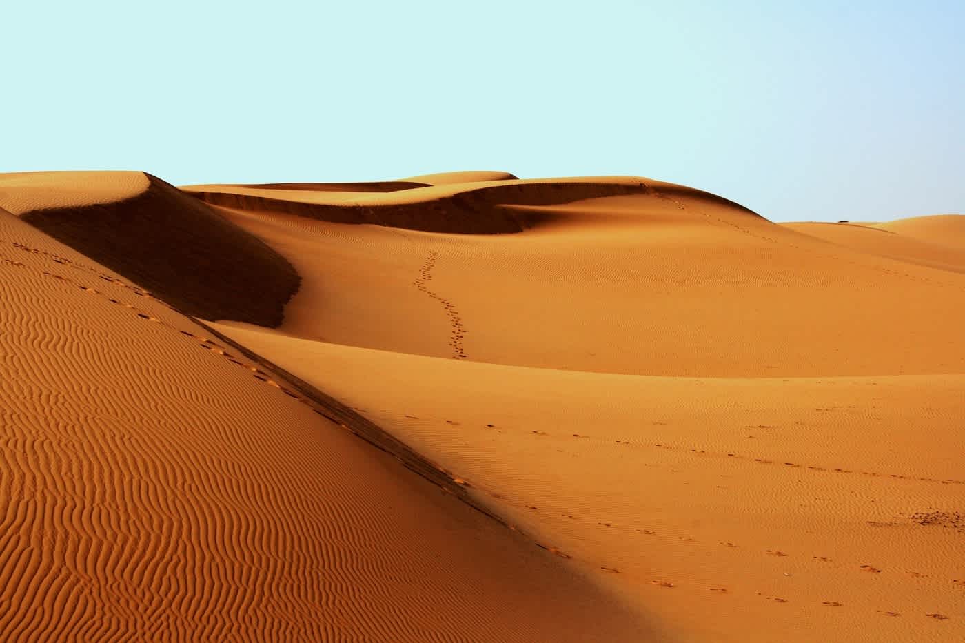 Distributed Tracing: Why It’s Needed and How It Evolved