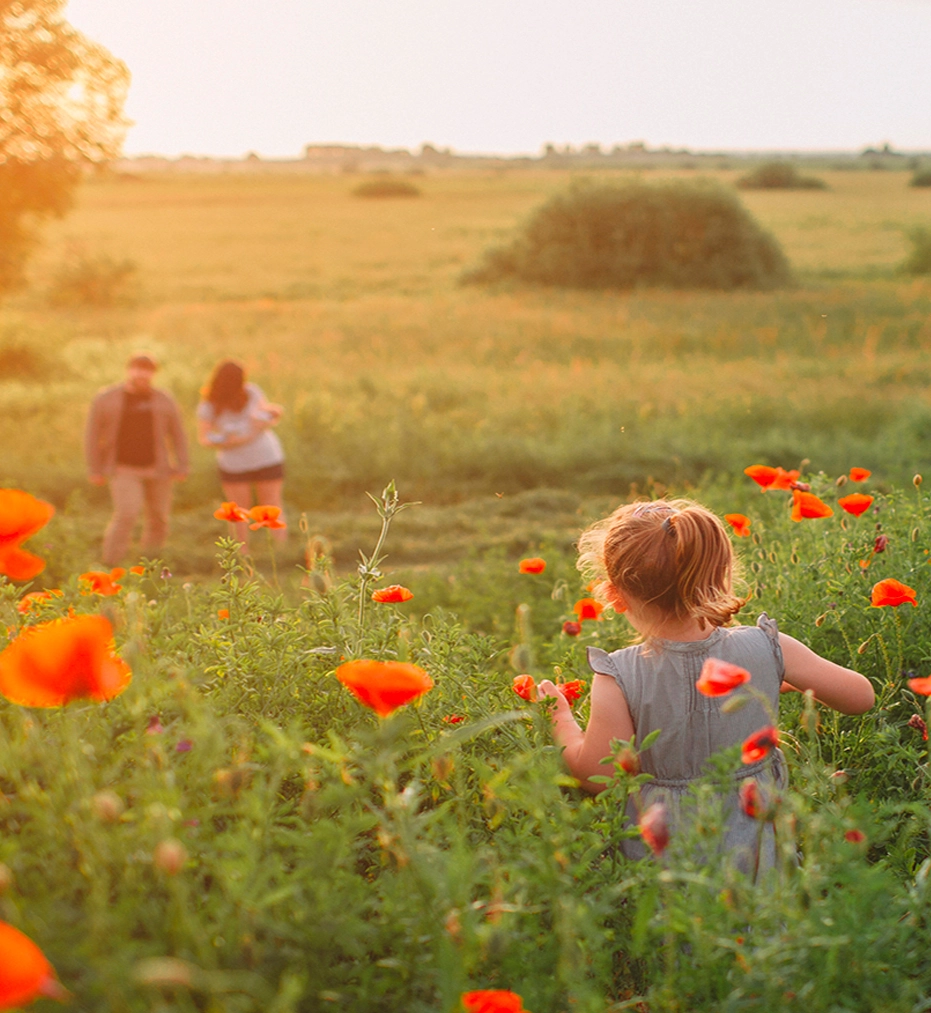 A little girl on her way to her parents in a field of red flowers during sunset.
