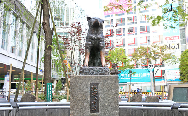 hachiko.jpg