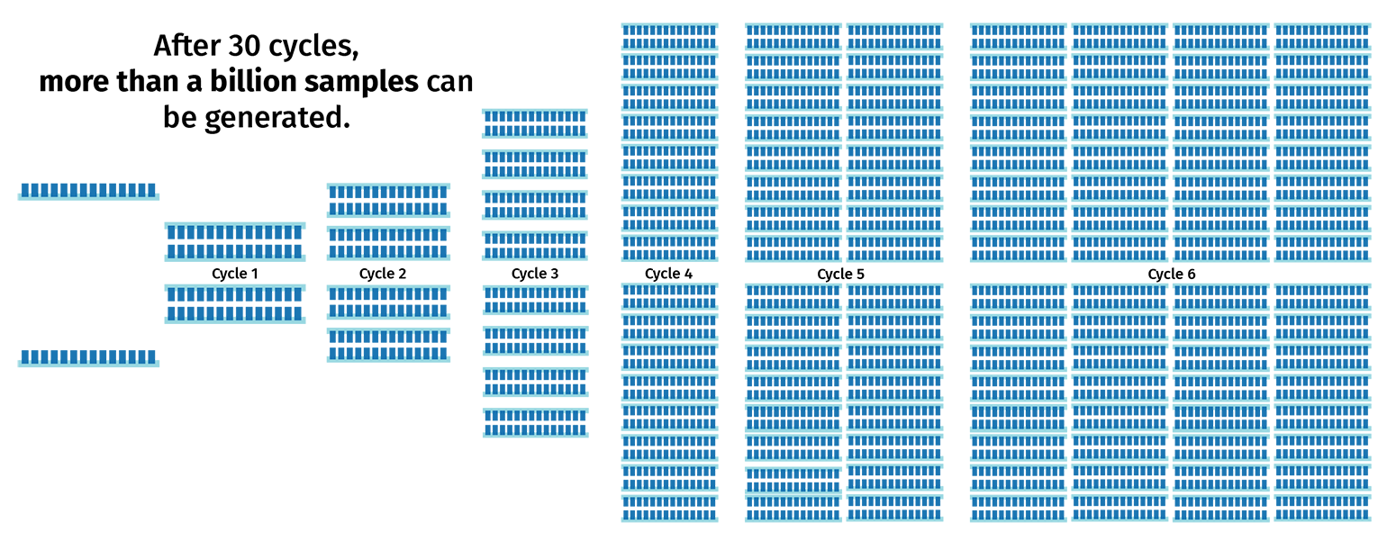 PCR copy cycles