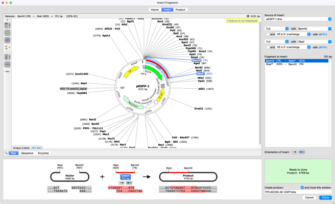 SnapGene and the plasmid cloning cycle
