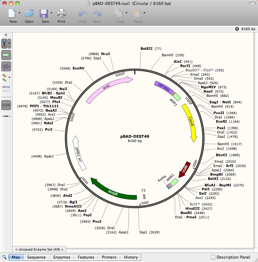 MacVector SnapGene