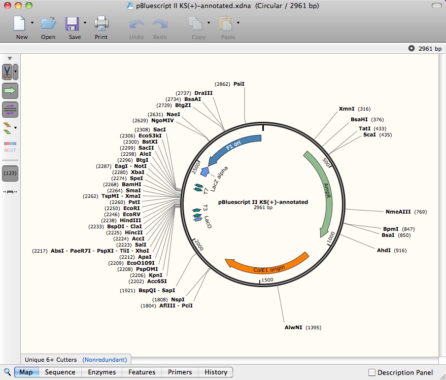 SerialCloner SnapGene