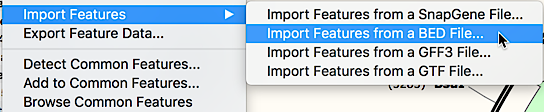 Import Features@1x
