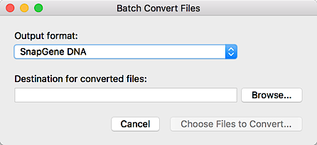 Batch Convert Files@1x