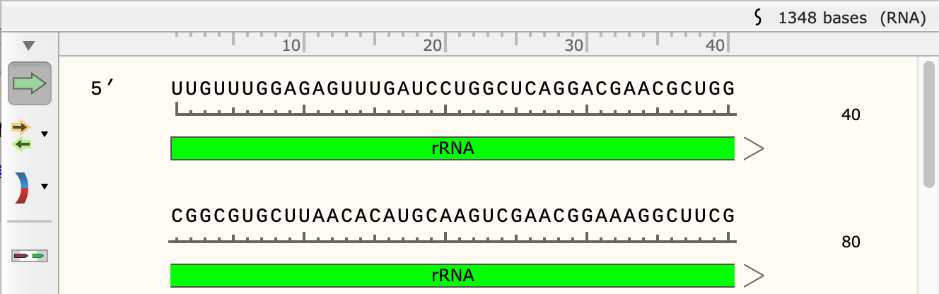 RNA File
