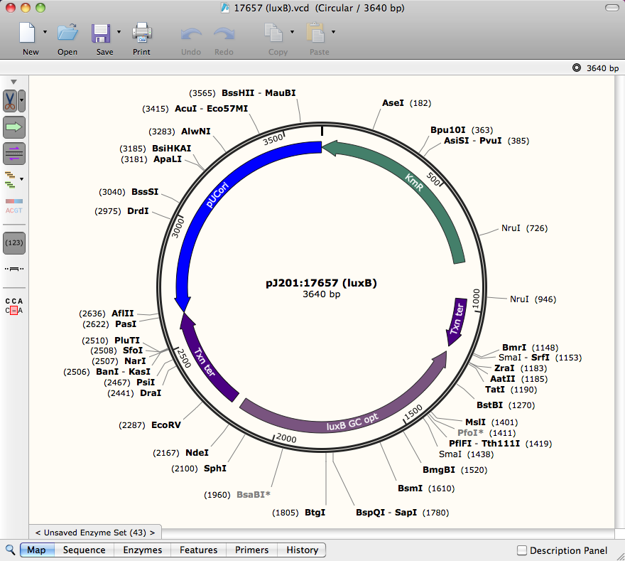 Visual Cloning SnapGene