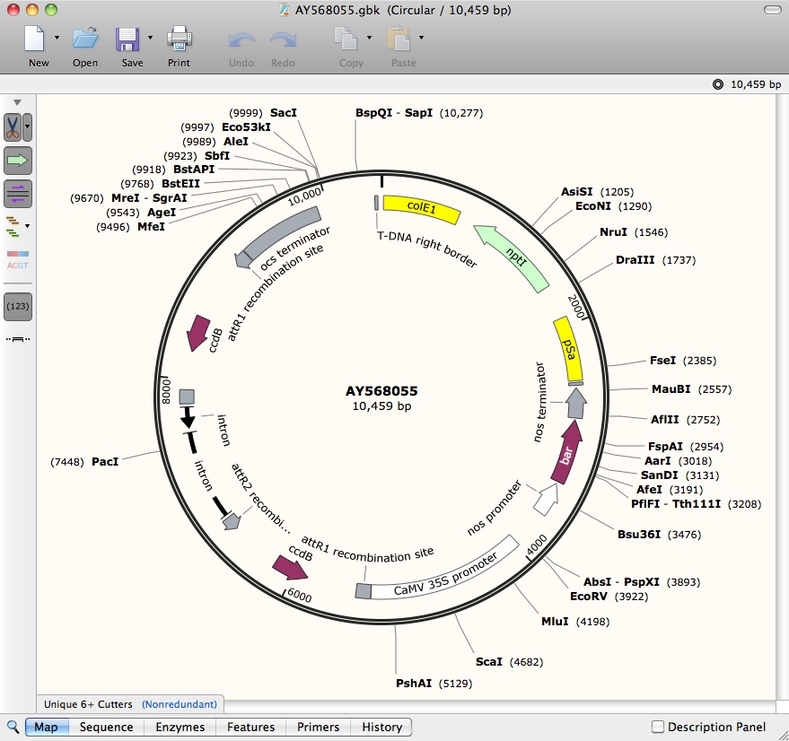 Convert GenBank / DDBJ files to SnapGene .dna format - Snapgene