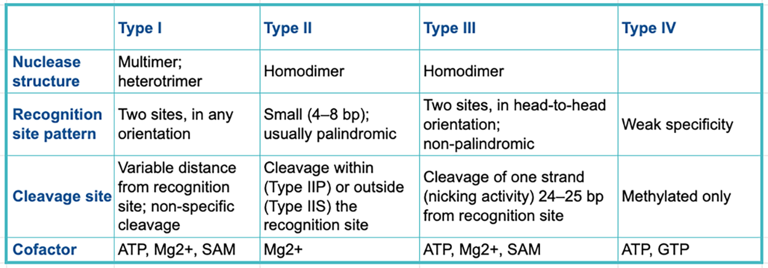 Restriction enzyme types