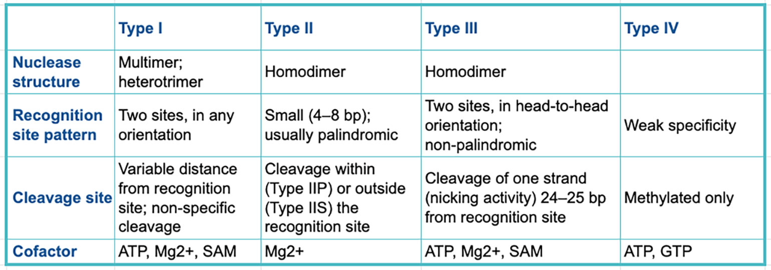 restriction enzymes