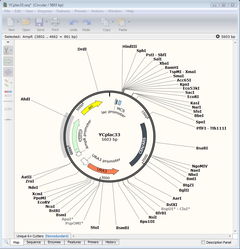 DNAssist SnapGene