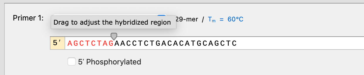 Adjust Hybridized Region