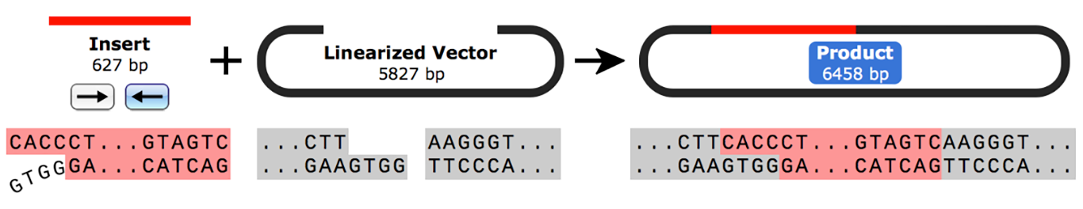 Directional topo