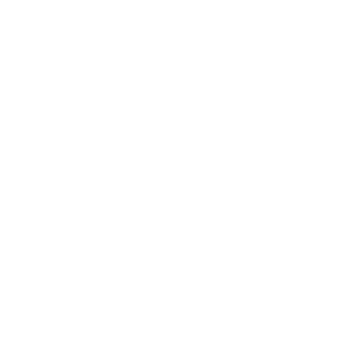 Kozminski University white