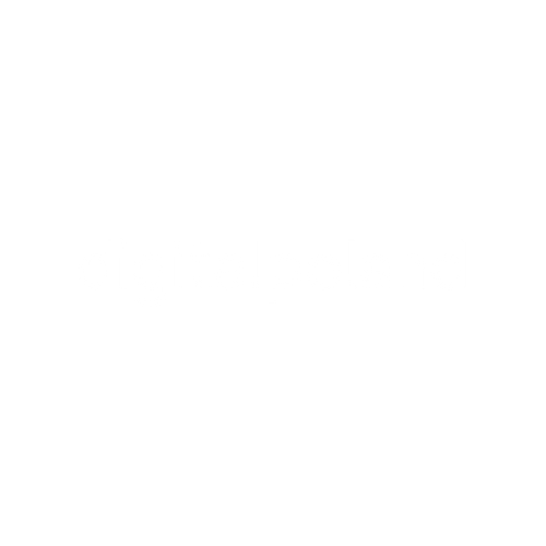 digitalpoland white