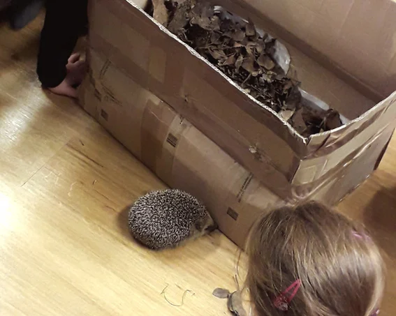 Tierischer Besuch in den 2. Klassen Tierischer Besuch in den 2. Klassen