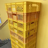 250509 Schulobstprogramm IMG 0736