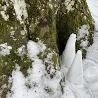 240119 Schneekunst Schneewichtel