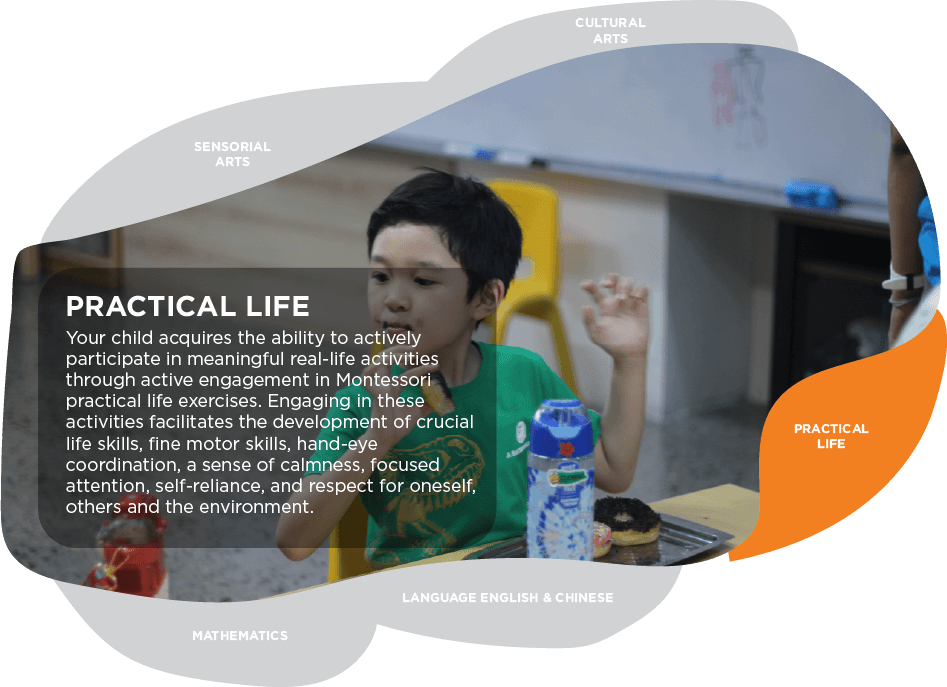 Practical Life - v2