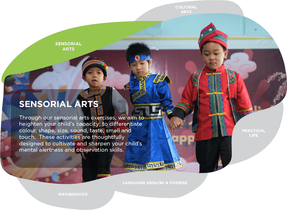 Sensorial Arts - v2