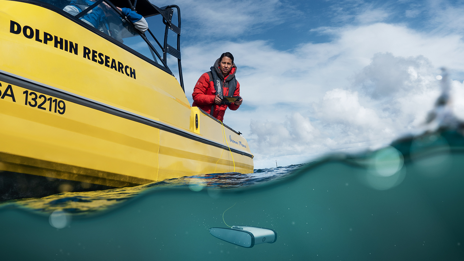 a-passion-to-protect-dolphins-study-with-new-zealand