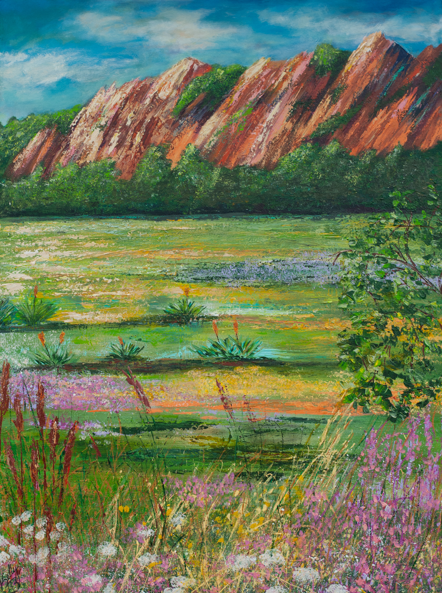 Meadow In The Foothills