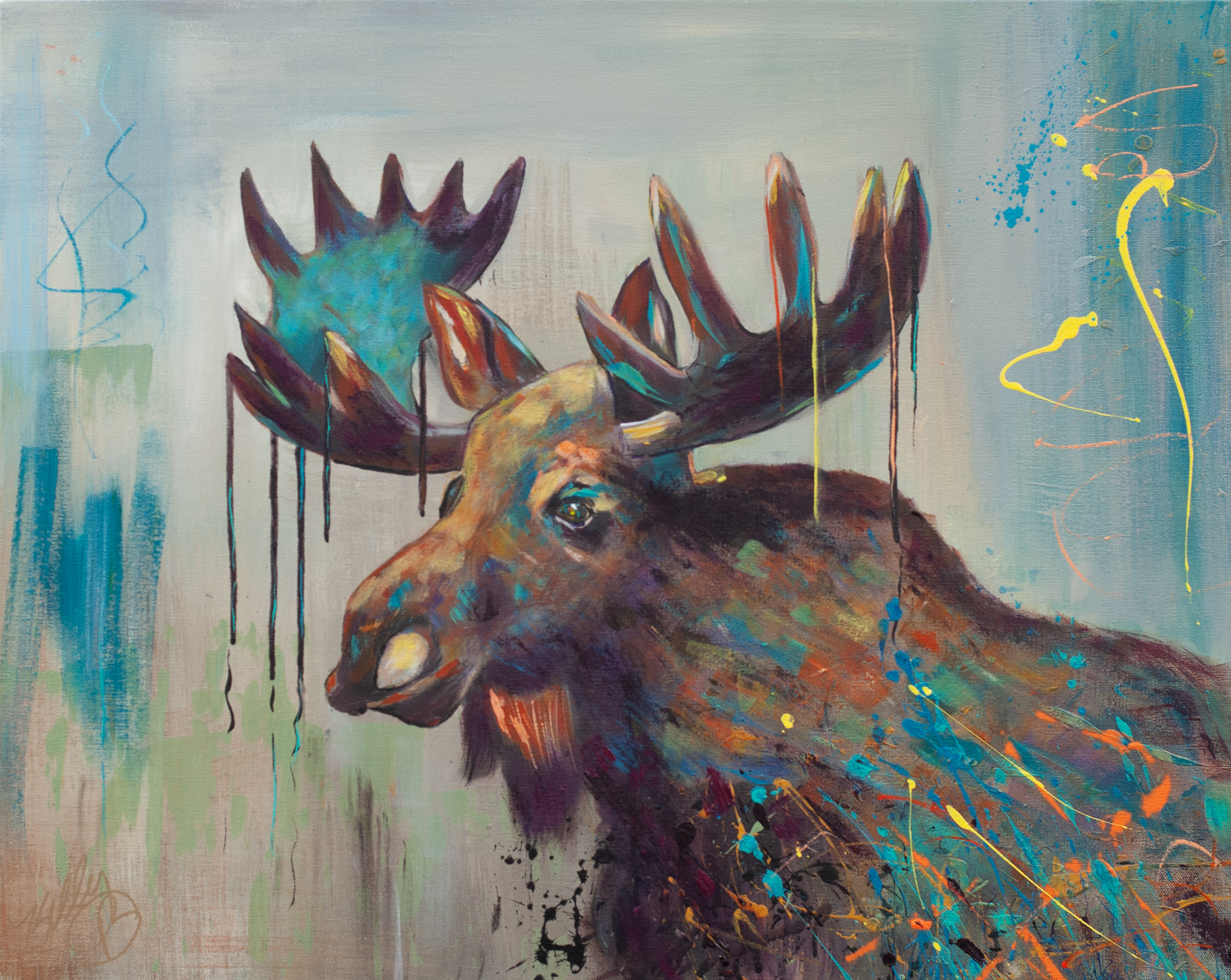 Enchanted Bull Moose
