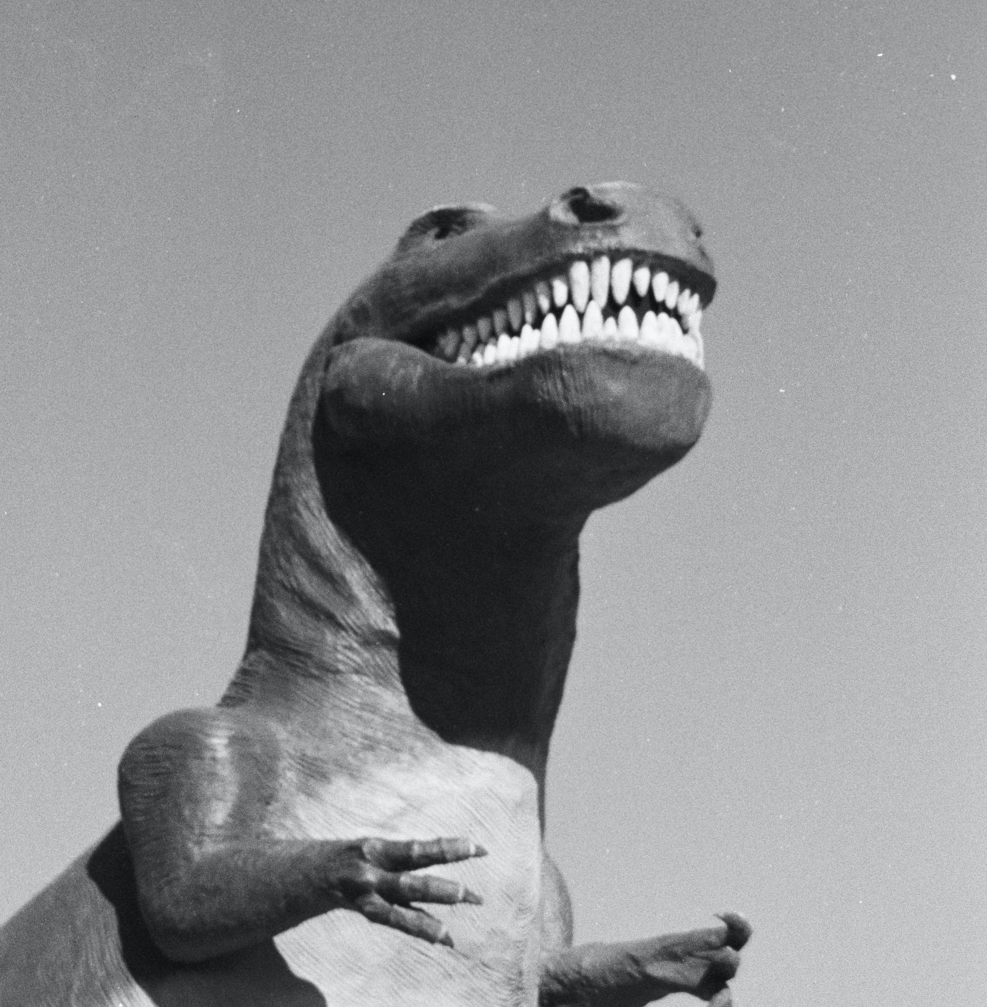 Tee Rex