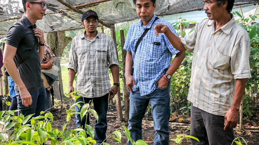 Indonesian Social Forestry