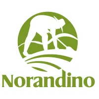 Norandino logo