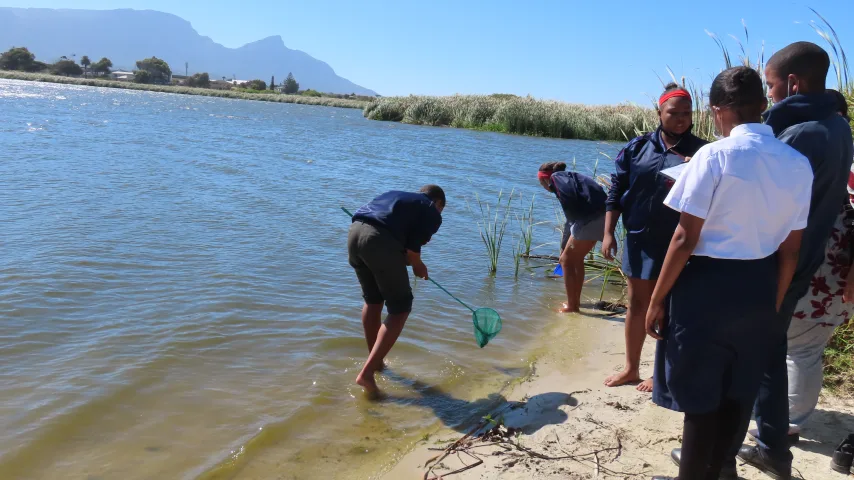 Princess Vlei water edge