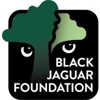 Black Jaguar Foundation