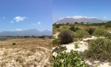 Princess Vlei before and after