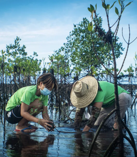 Aringay Fishpond to Mangrove 1