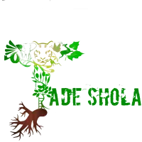 Jadeshola logo