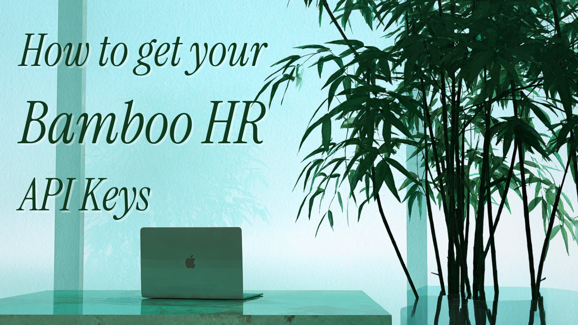 How to Get Your BambooHR API Keys