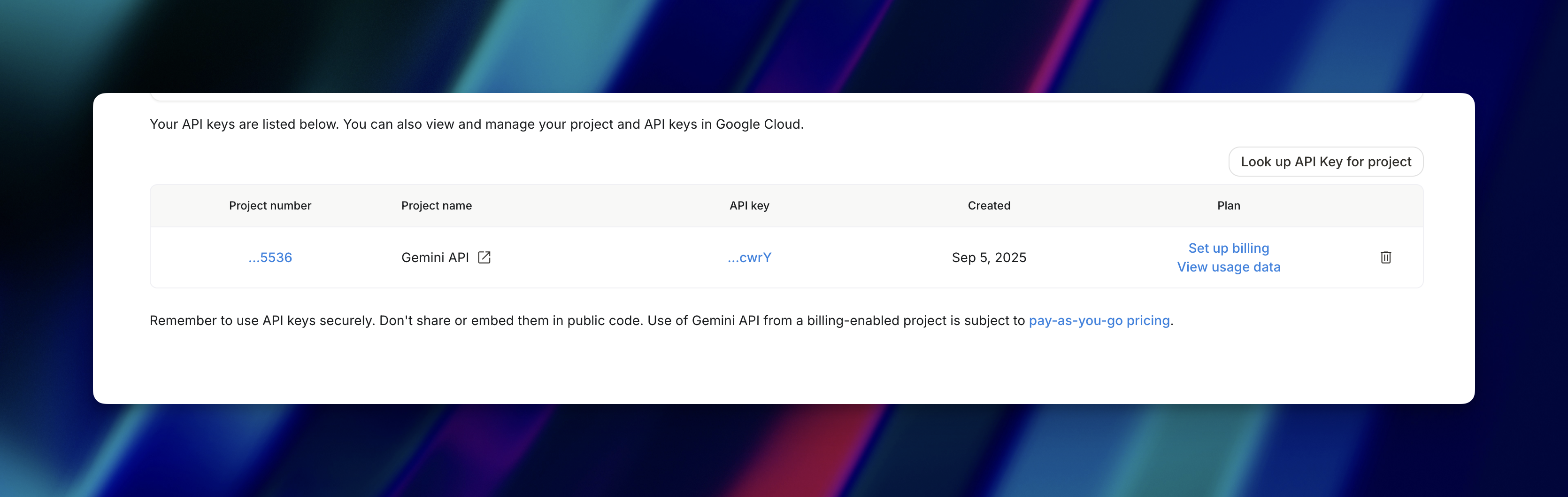 How to Get Your Gemini API Key 4